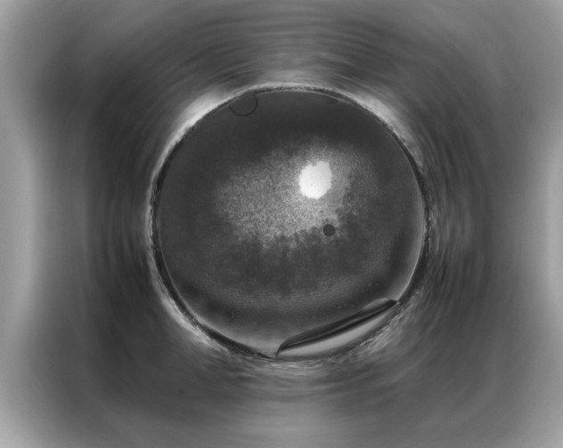 X0000087370998200704271452