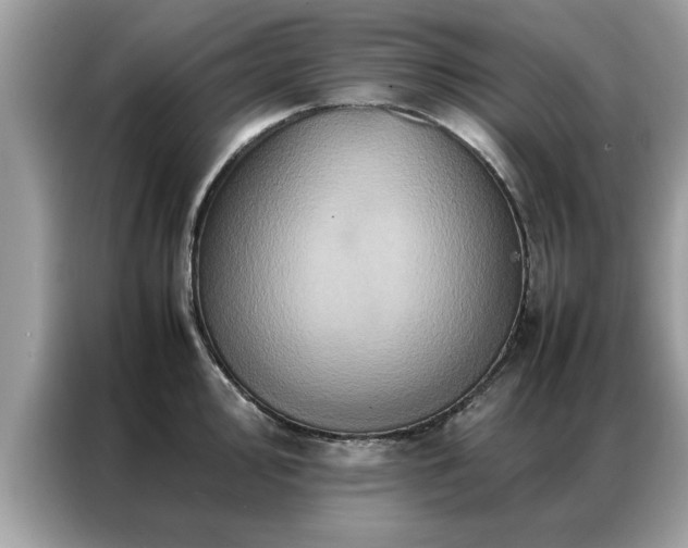 X0000087371000200704271452