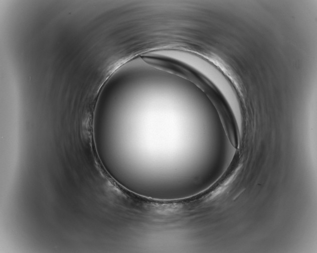 X0000087371001200704271452