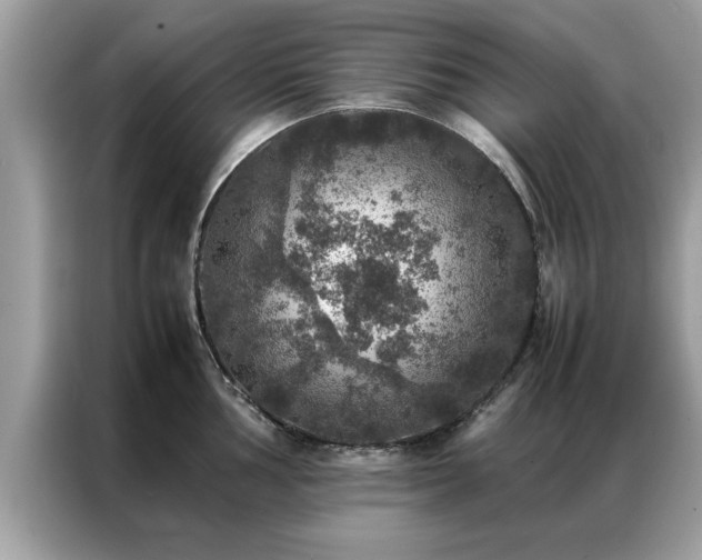 X0000087371002200704271451