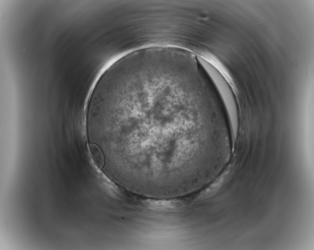 X0000087371004200704271451