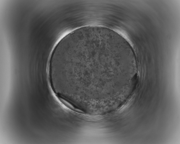 X0000087371007200704271451