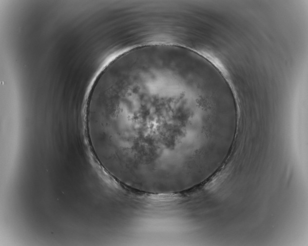 X0000087371008200704271451