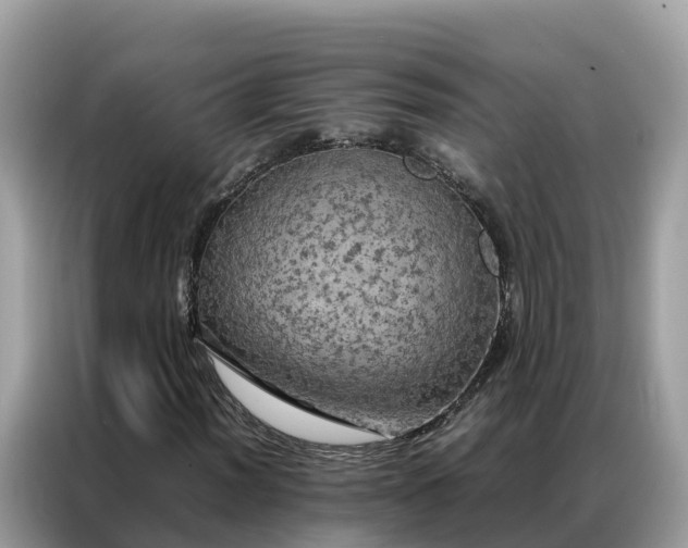 X0000087371012200704271451