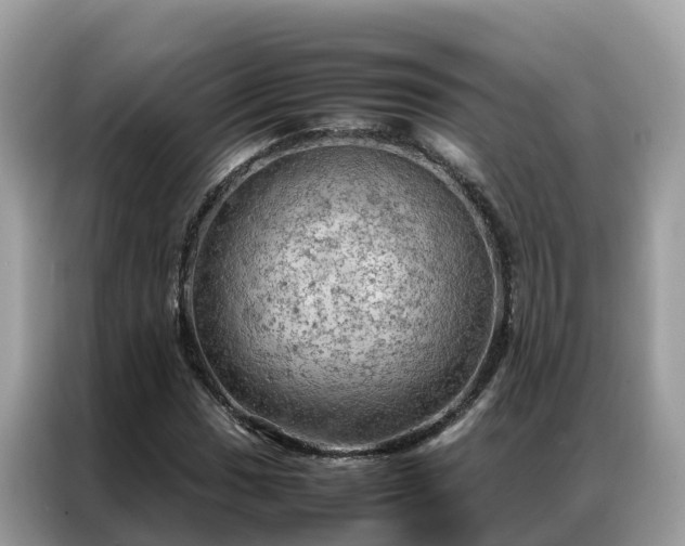 X0000087371017200704271451