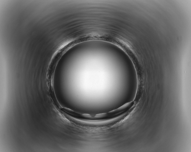 X0000087371018200704271451