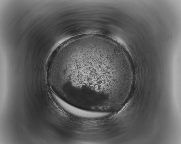 X0000087371019200704271451