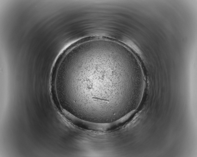 X0000087371020200704271451