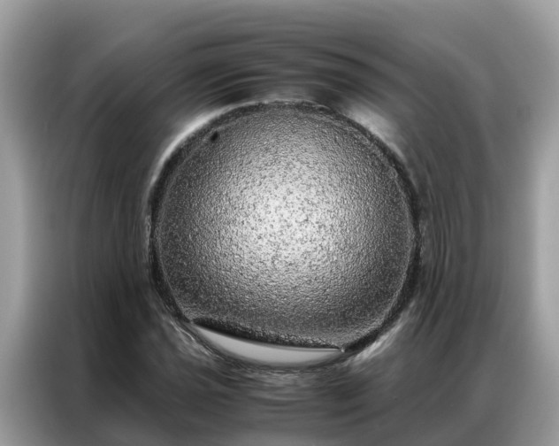 X0000087371021200704271451