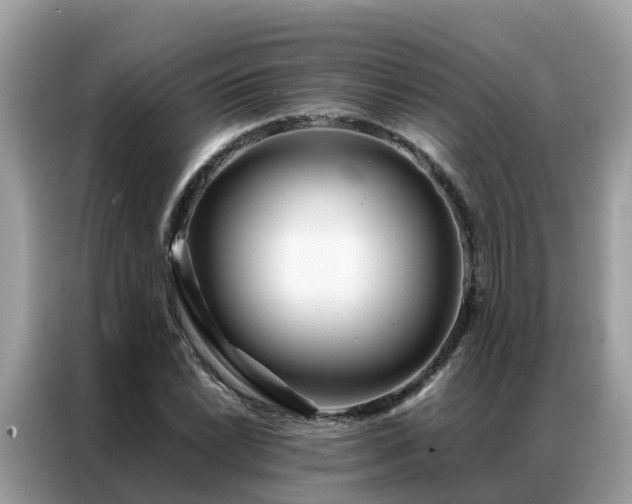 X0000087371022200704271451