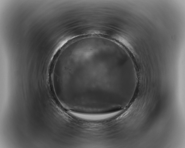 X0000087371023200704271451