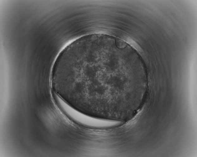 X0000087371028200704271451