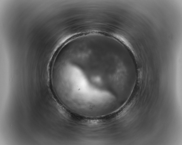 X0000087371031200704271451