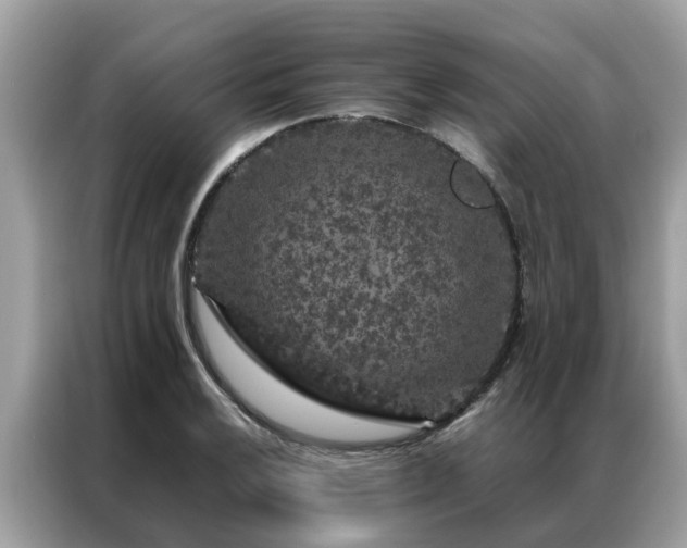 X0000087371032200704271451