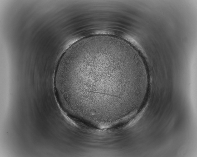X0000087371033200704271451