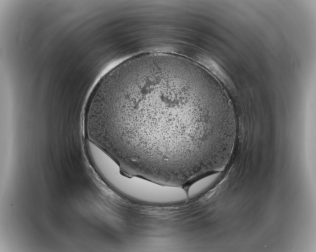 X0000087371036200704271451