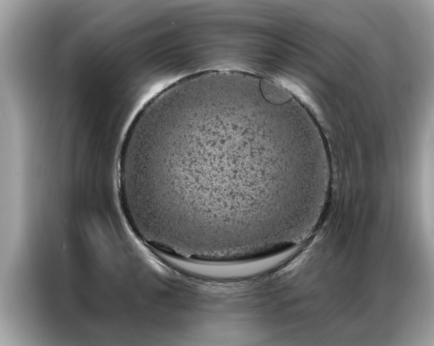 X0000087371040200704271451