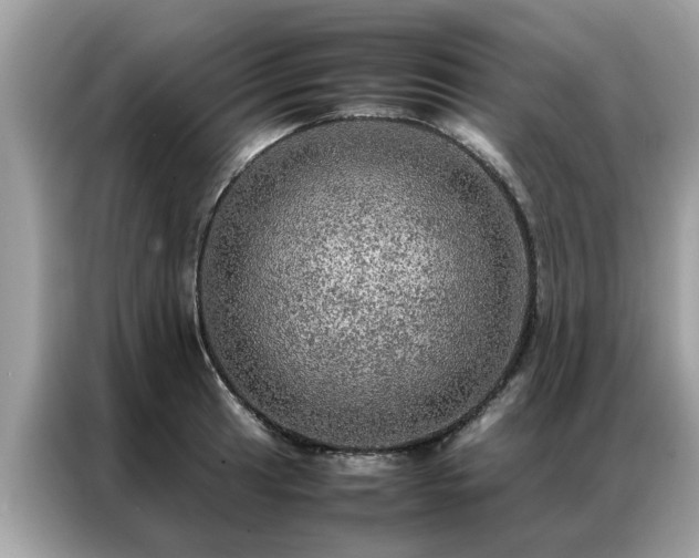 X0000087371041200704271451