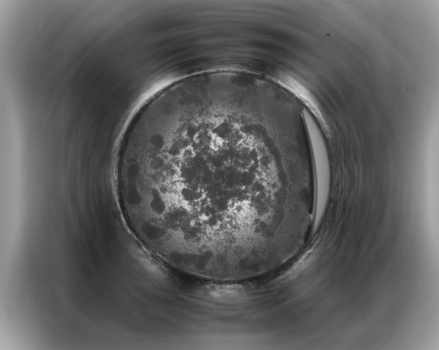 X0000087371043200704271451