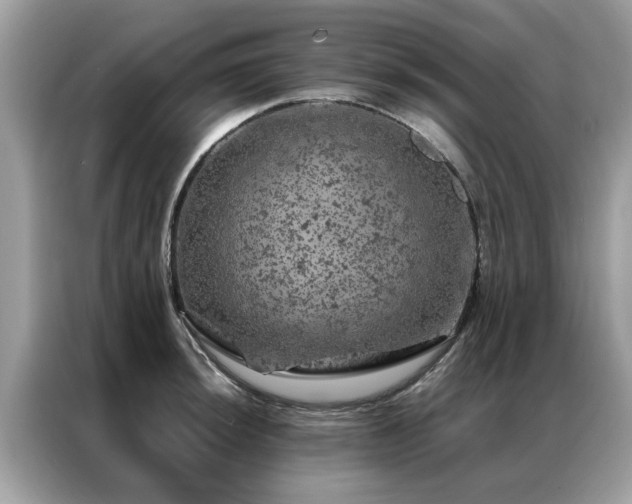 X0000087371044200704271451