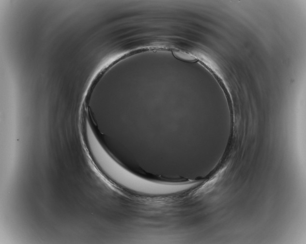 X0000087371045200704271451