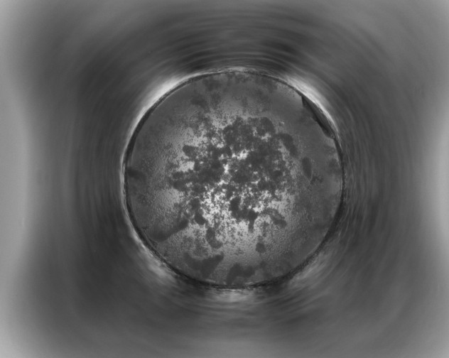 X0000087371047200704271451