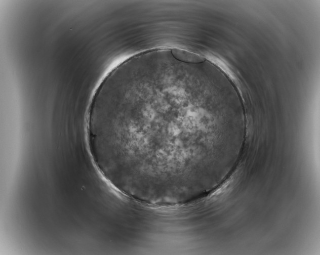 X0000087371048200704271451