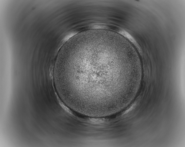 X0000087371049200704271451
