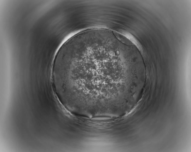 X0000087371052200704271451