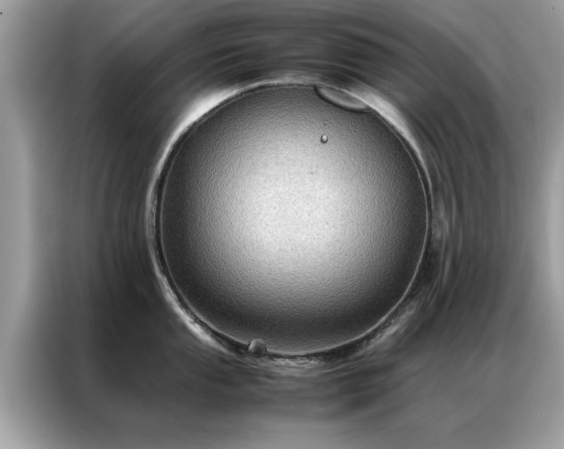 X0000087371053200704271451