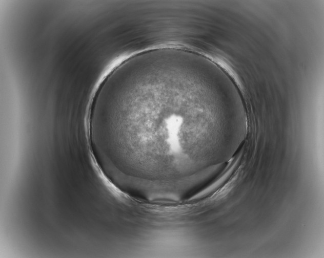 X0000087371054200704271451