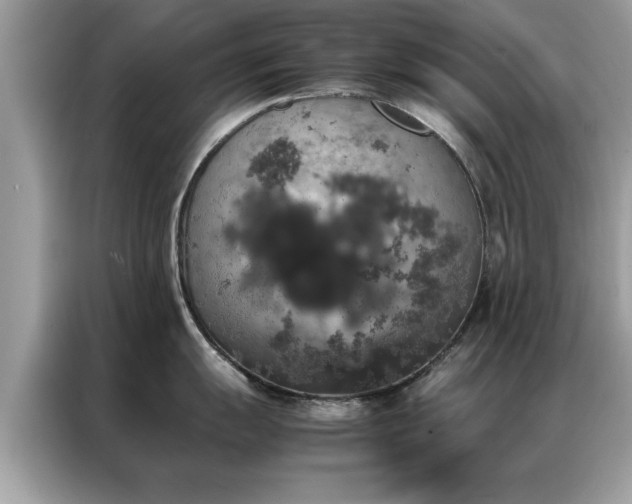 X0000087371055200704271451