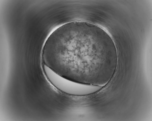 X0000087371056200704271451