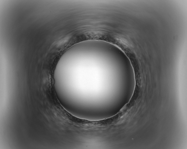 X0000087371061200704271451
