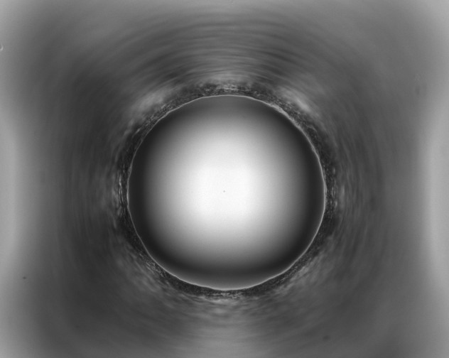 X0000087371062200704271451