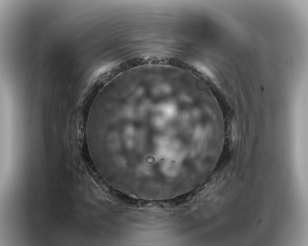 X0000087371063200704271451