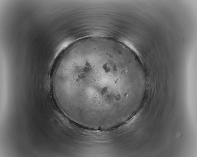 X0000087371067200704271451