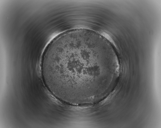 X0000087371068200704271451