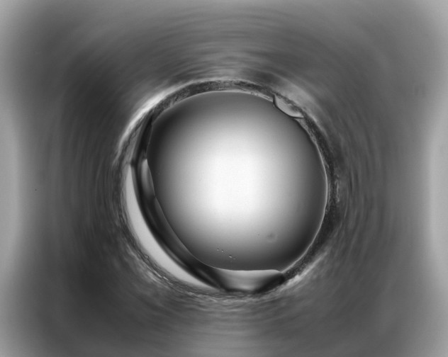 X0000087371069200704271451
