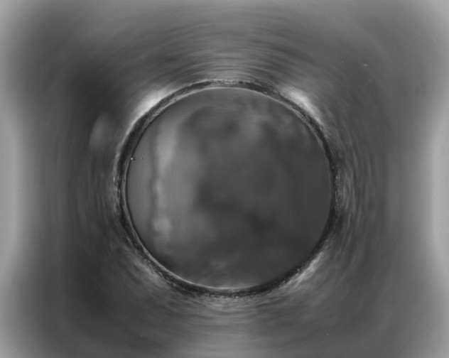 X0000087371071200704271451
