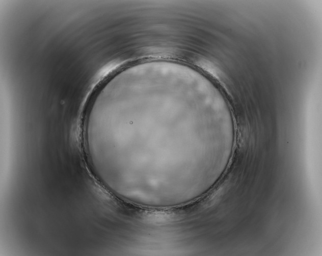 X0000087371074200704271451