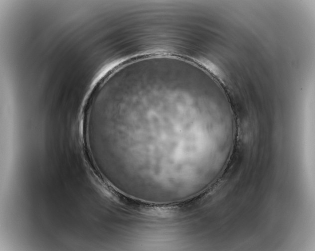 X0000087371078200704271451