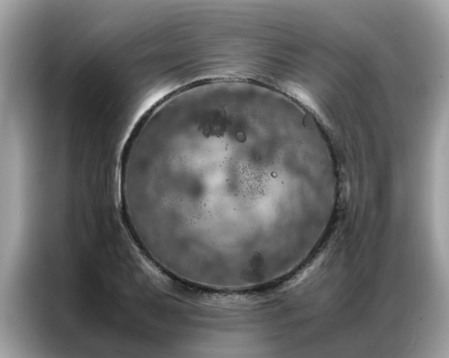 X0000087371079200704271451
