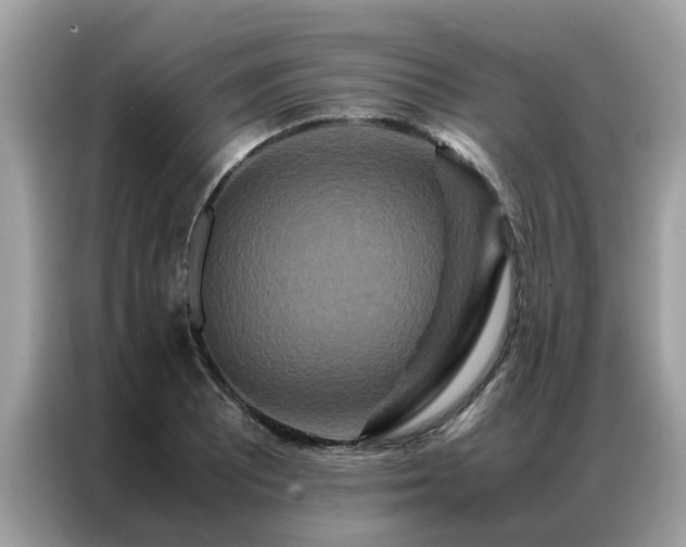 X0000087371081200704271451