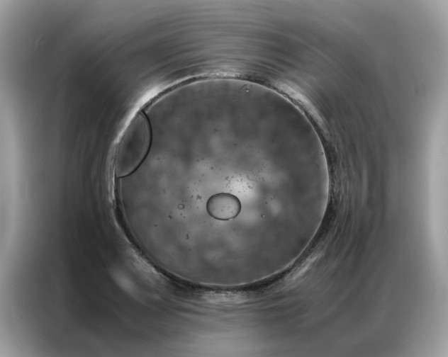 X0000087371083200704271451