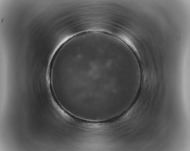 X0000087371084200704271451