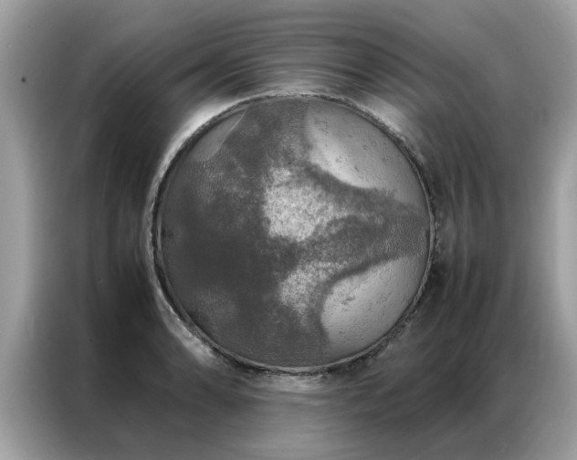 X0000087371086200704271451