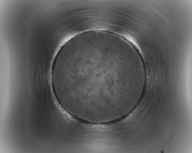 X0000087371088200704271451