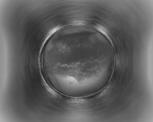 X0000087371090200704271450