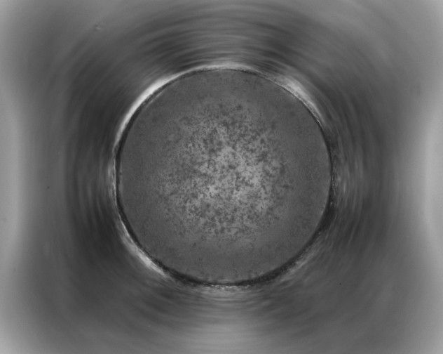 X0000087371092200704271450
